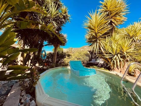Day, Natural landscape, Garden, Garden view, Pool view, Swimming pool