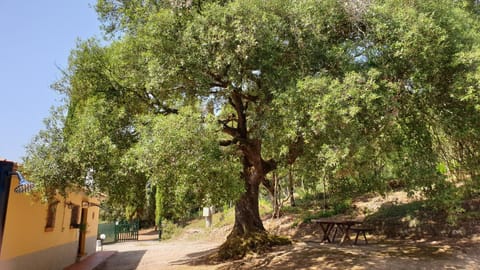 Natural landscape, Garden view