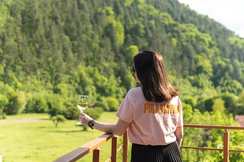 Kleptuzaparts Apartment in Velingrad