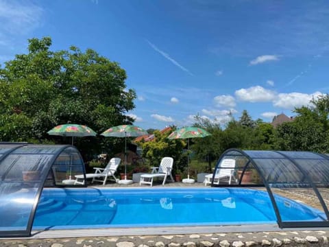 Summer, Swimming pool, sunbed
