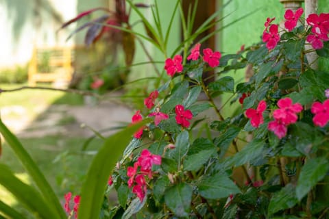 Day, Garden, Garden view