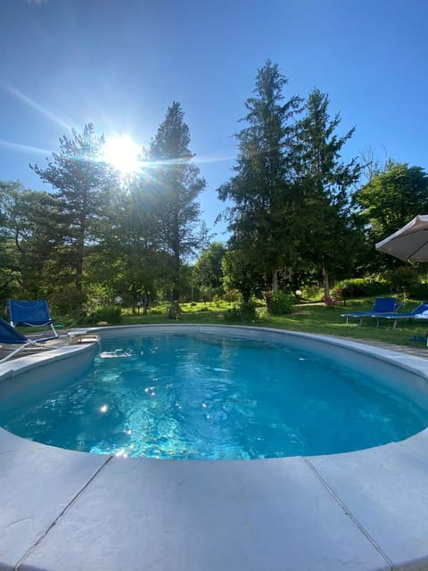 Natural landscape, Garden, Pool view, sunbed