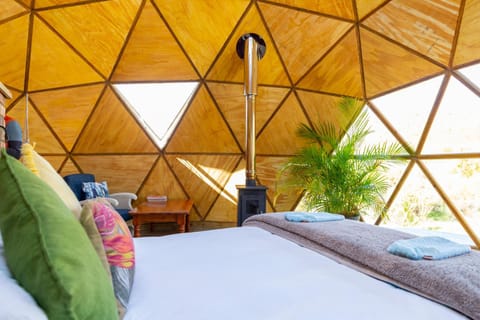 Photo of the whole room, Bedroom, fireplace