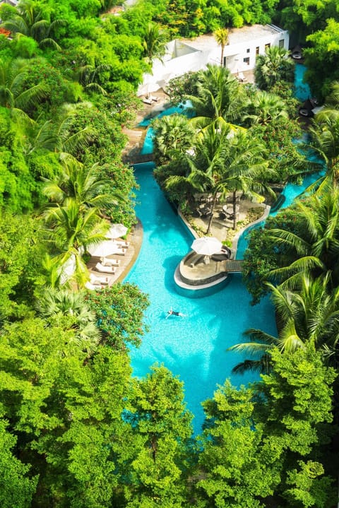 Natural landscape, Bird's eye view
