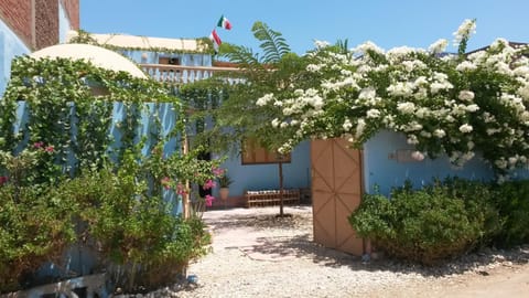 Property building, Facade/entrance, Garden, Garden view