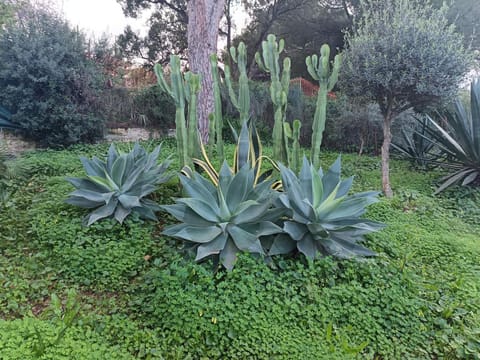 Villa Ellen Maria Villa in Alhaurín de la Torre