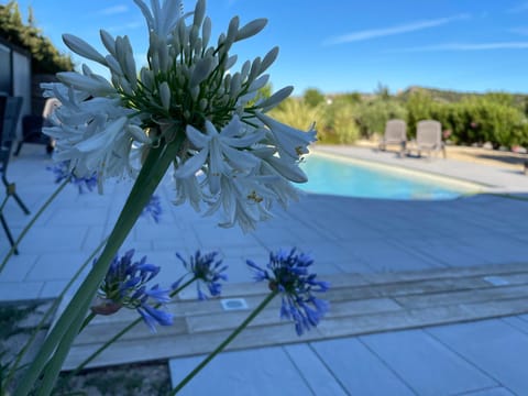Garden, Garden view, Pool view, Swimming pool, sunbed