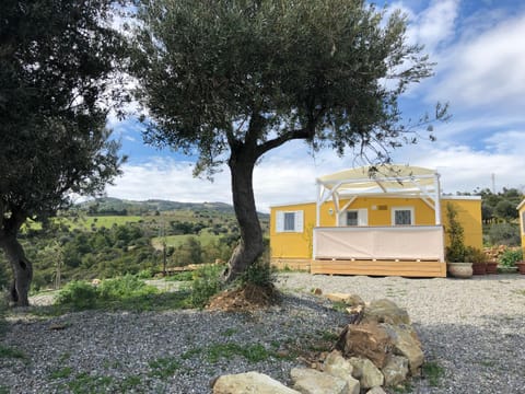 Bungalows by B&B Villa Sveva House in Basilicata