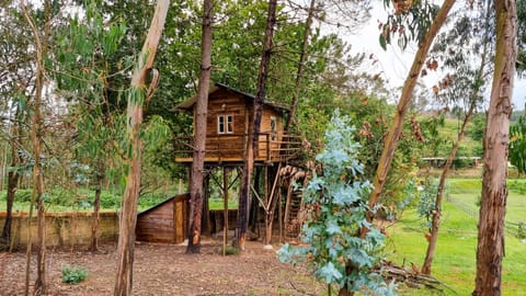 Property building, Garden view