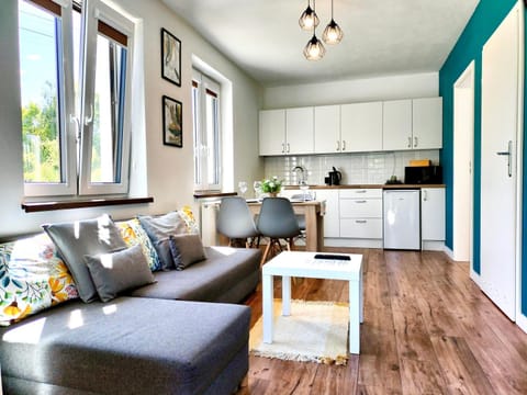 Kitchen or kitchenette, Living room, Seating area, Dining area, stove