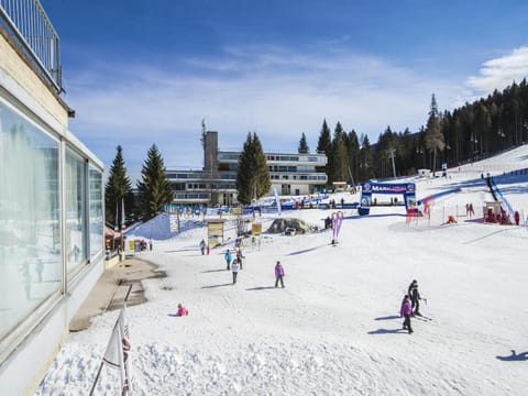 Activities, Winter, Skiing, View (from property/room), Guests, Mountain view, Location