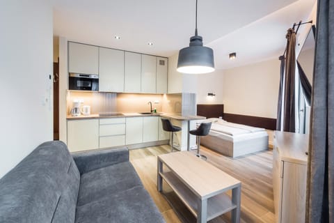 Bed, Kitchen or kitchenette, Living room, Photo of the whole room, Bedroom