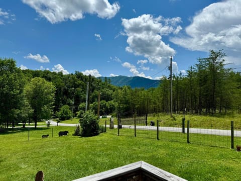 Holy Smokes House in Great Smoky Mountains