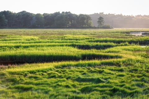 Quaint Bungalow House in Kennebunkport