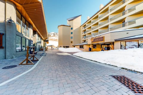 Emmons Escape & Cozy Slopeside Condo Apartment in Colorado