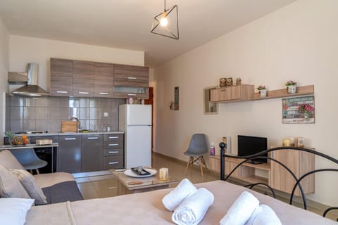 Bed, TV and multimedia, Kitchen or kitchenette, Living room, Photo of the whole room, Seating area, Dining area, pet friendly, stove