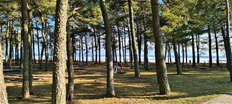 Nida Kopu 3 Apartment Apartment in Klaipėda County, Lithuania