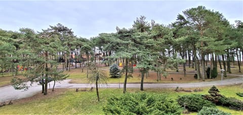 Nida Kopu 3 Apartment Apartment in Klaipėda County, Lithuania