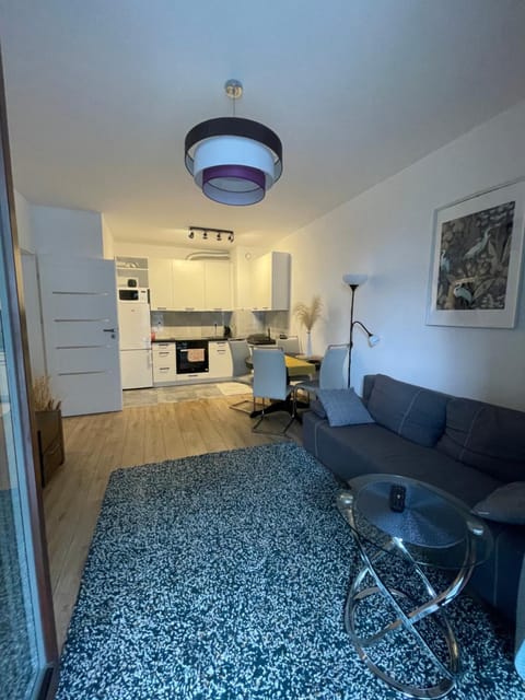 Kitchen or kitchenette, Living room, Seating area, stove