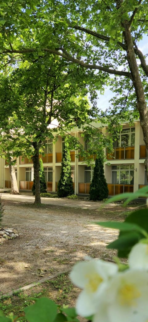 Property building, Spring, Day, Garden