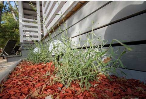 Sunny Day, Mobile home Campground/
RV Resort in Biograd na Moru