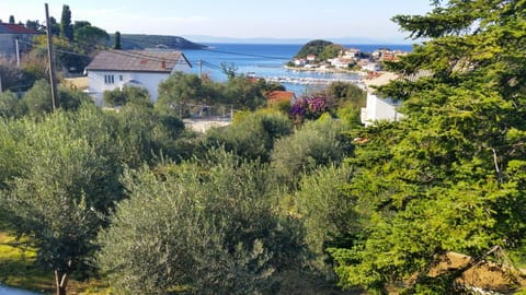 Kuća Carmen Bed and Breakfast in Supetarska Draga
