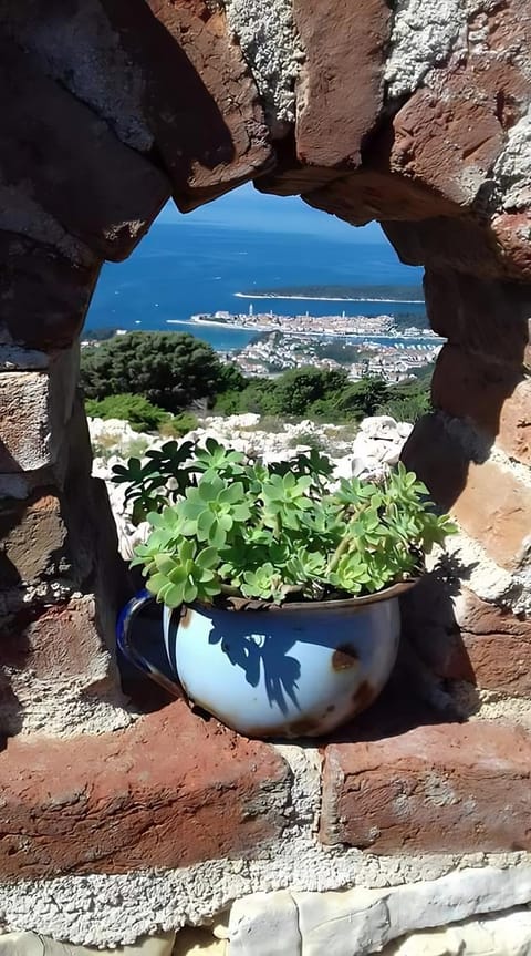 Kuća Carmen Bed and Breakfast in Supetarska Draga