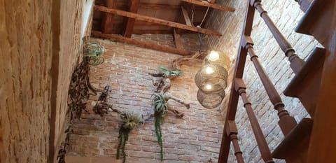 Maison du Flâneur Apartment in Chioggia