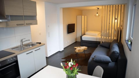 TV and multimedia, Kitchen or kitchenette, Living room, Dining area, Bedroom