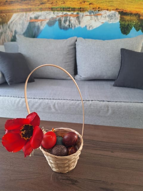 Sunce Apartment in Zlatibor District, Serbia