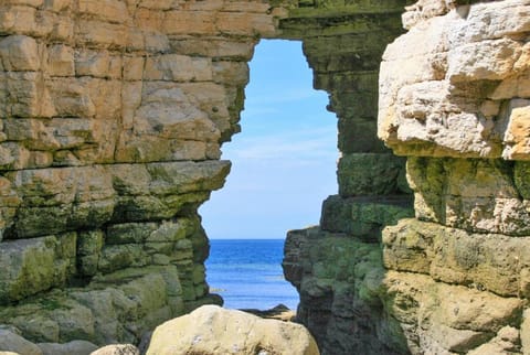 Grove Cottage, Flamborough House in Flamborough