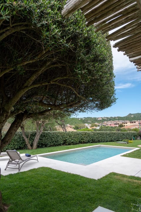 Spring, Natural landscape, Garden, Garden view, Pool view, Swimming pool, sunbed