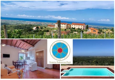 Property building, Bird's eye view, Swimming pool