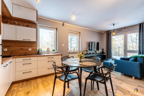 Kitchen or kitchenette, Living room, Seating area, Dining area