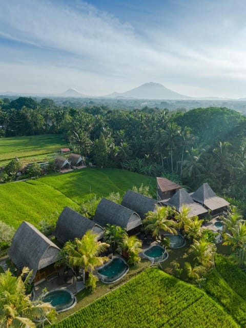Natural landscape, Garden view, Mountain view