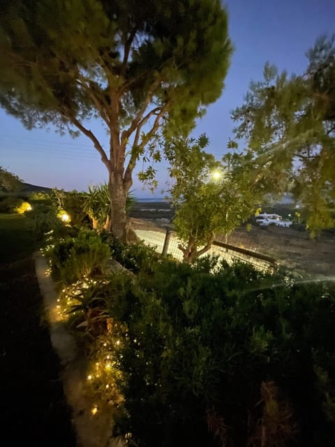 Night, Natural landscape, Garden view