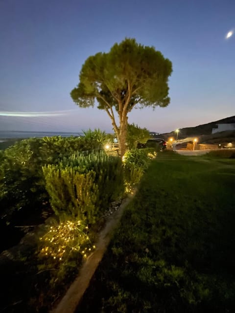 Night, Natural landscape, Garden view