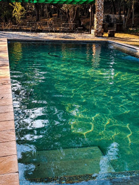 Swimming pool, Breakfast