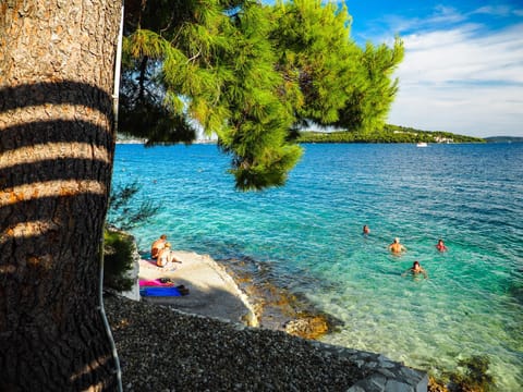 People, Beach, Sea view, group of guests