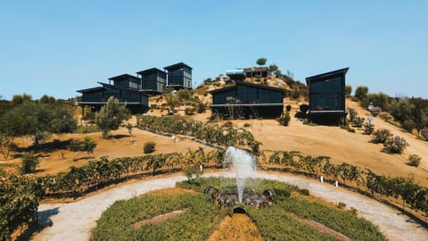 Natural landscape, Garden view