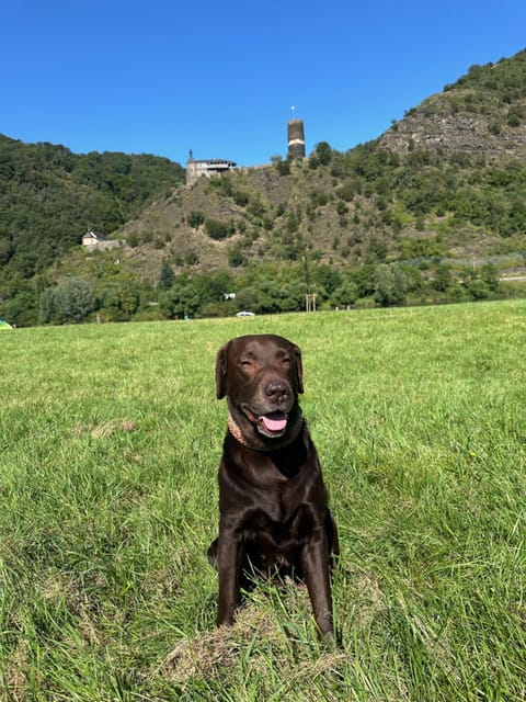Nearby landmark