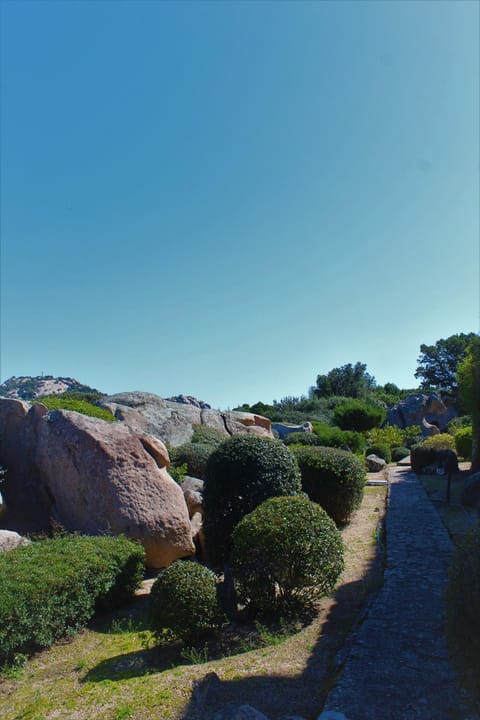 Garden, Garden view, Garden view