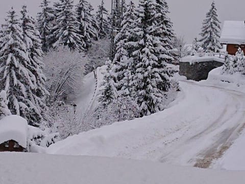 Charmant appart ski-in/ski-out, Courchevel, 6 pers, parking - FR-1-514-23 Apartment in Saint-Bon-Tarentaise