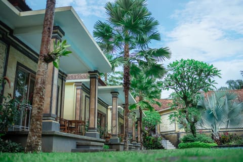 Property building, Natural landscape, Garden