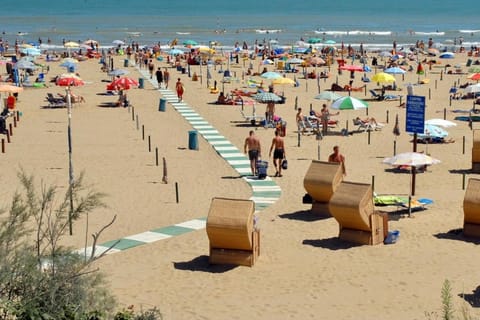 People, Summer, Beach