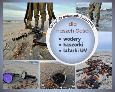 Natural landscape, Beach