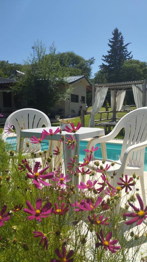 Garden, Pool view, Swimming pool