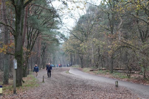 Camping het Smitske Campground/ 
RV Resort in North Brabant (province)
