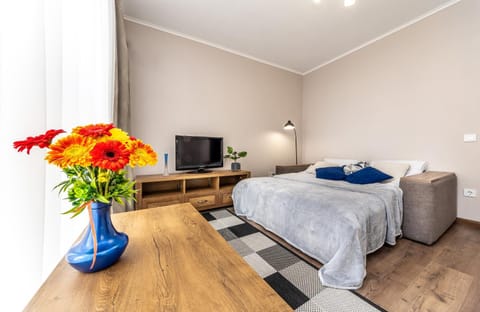Bed, TV and multimedia, Photo of the whole room, Bedroom