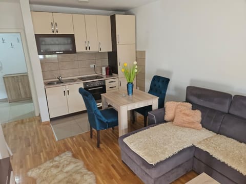MG Lux Apartment in Vojvodina